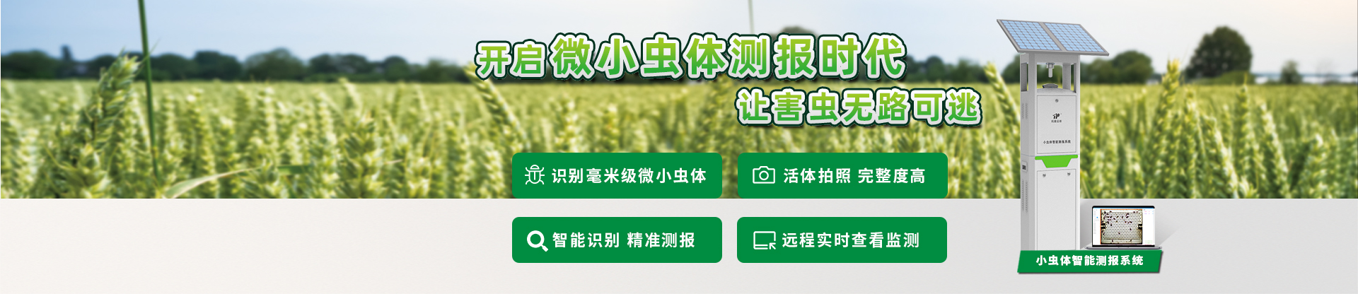稻飞虱智能测报系统