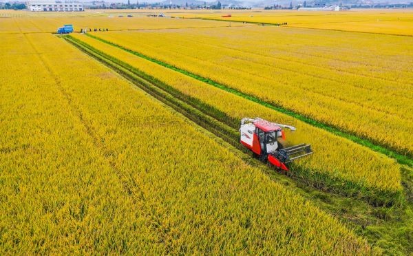 案例分享|托普在高标准农田建设上都做了什么？