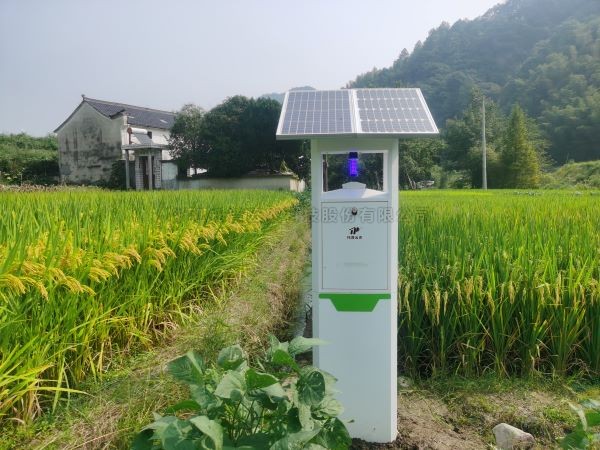 从“新”出发！芭乐视频下载污在线观看小虫体智能测报系统迈向纵深发展新阶段