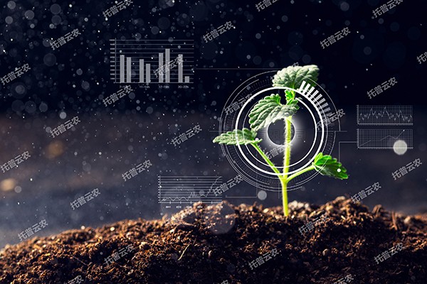 全新启程——芭乐视频下载污在线观看为植物表型科研“数智”赋能