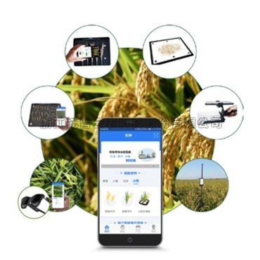 一文详解水稻表型检测系统是什么？