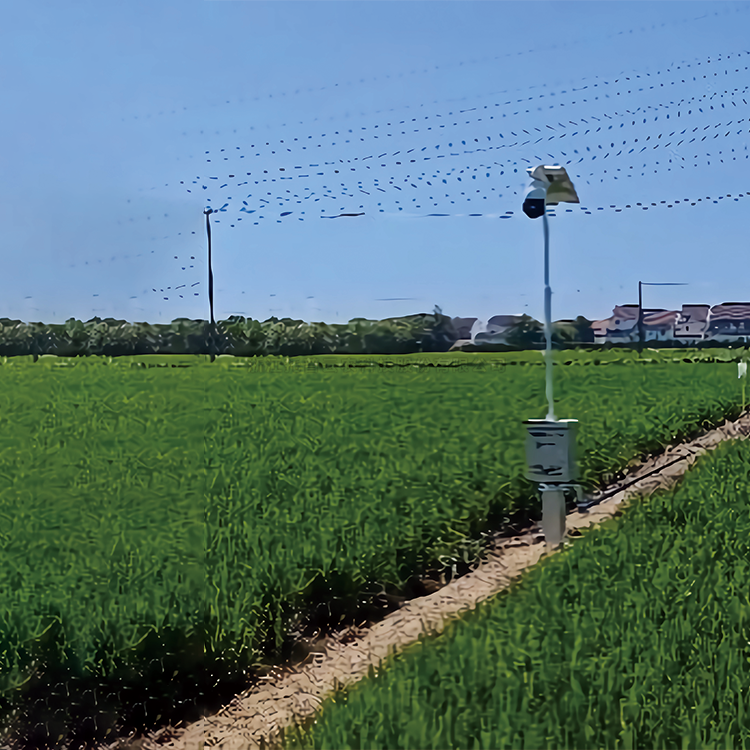 自动赶蛾智能统计杆TP-GESB2.0