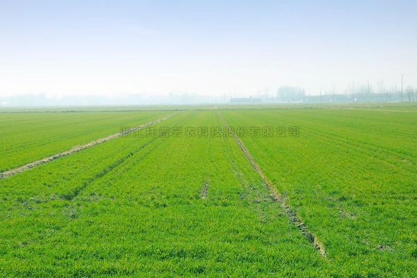 科技赋能春耕，芭乐视频下载污在线观看智慧农情监测站再获央视关注