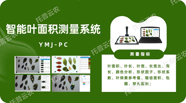 智能叶面积测量系统——秒级快速测叶片，多参数同步解析，云端数据好管理