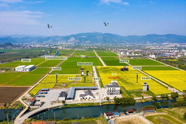 1741166485478185.jpg 3.jpg