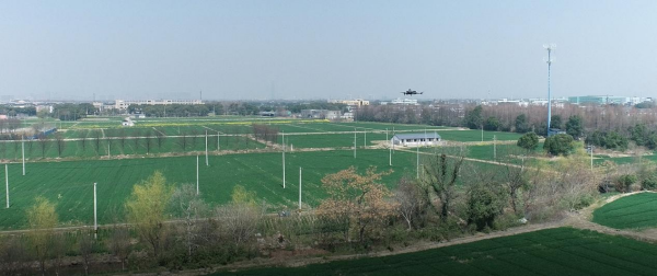 1750905619875540.png seo-1.png