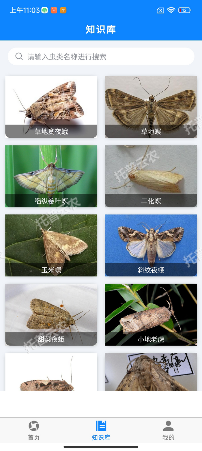 5、害虫知识库.png